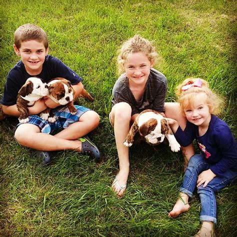  As English Bulldog breeders , Mitch and Erica Wysong have dedicated themselves to a lifelong journey of changing the culture and societal pressures of poor breeding practices within the English Bulldog Community